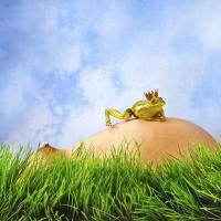 01__A2D2936_Frosch_KS